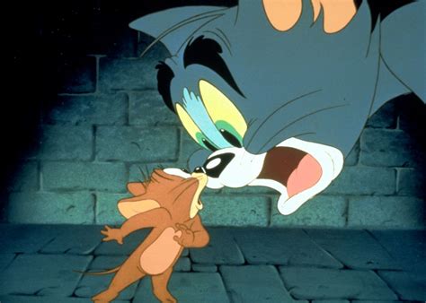 Tom And Jerry Tom And Jerry Photo 31793705 Fanpop