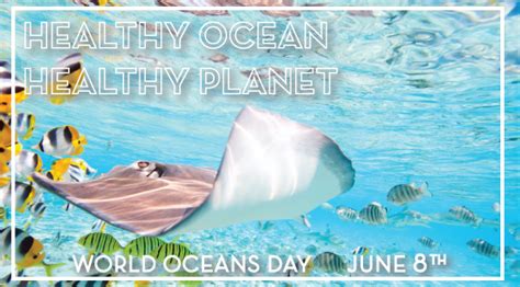 World ocean day is used to celebrate by lots of people to gather every knowledge about the ocean and also to save it for balancing a better life on the planet of the earth. World Oceans Day - Ireland's First National Maritime ...