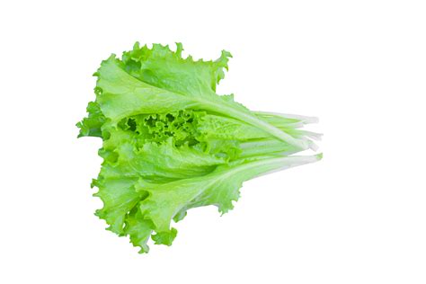 Green Lettuce Leaves Salad Isolated 10870461 Png