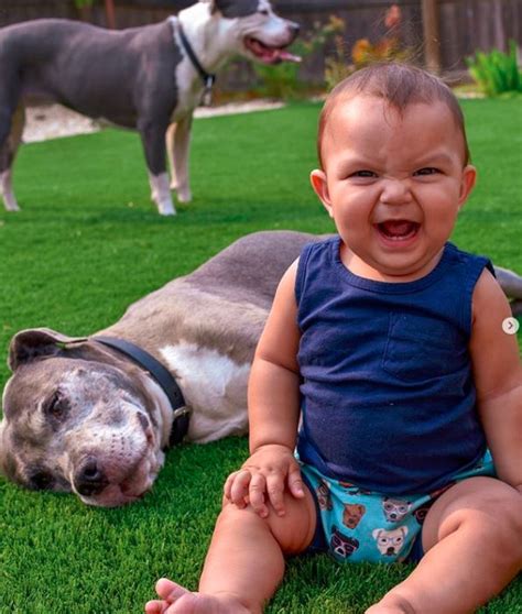 12 Adorable Photos Of Pit Bulls With Their Kids