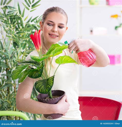 Young Woman Watering Plants In Her Garden Stock Photo Image Of Lily