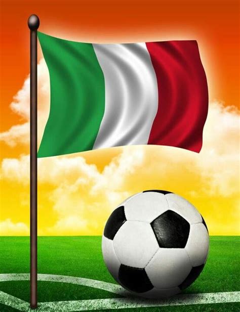 National sports center tournament 06/11/17. Italian flag/soccer ball in 2019 | Italian soccer team ...