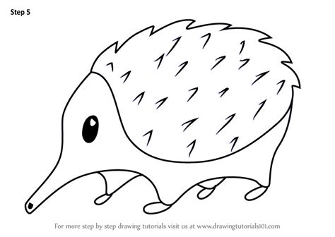 They had never done that before. Learn How to Draw a Cartoon Spiny Anteater (Cartoon Animals) Step by Step : Drawing Tutorials