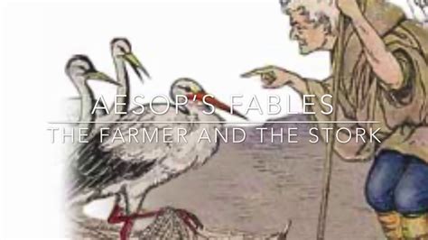 Aesops Fables The Farmer And The Stork Narrated By Jon Wilkins Youtube