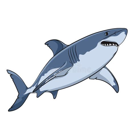 Requin Dessin Téléchargez Ces Vecteur Premium Sur Requin De Dessin