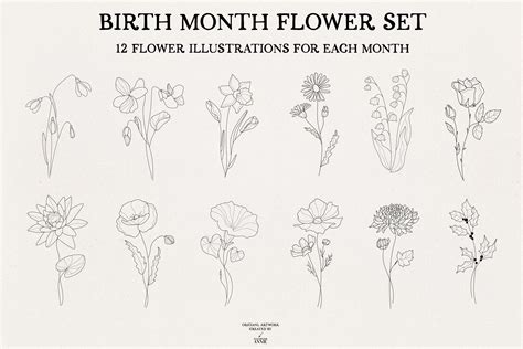 Birth Month Flower Set Graphic Objects Creative Market