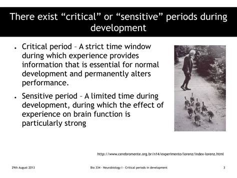Ppt Critical Periods In Development Nature Vs Nurture