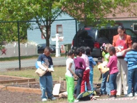 Ms Herndon S First Grade Class Picking Up Litter From Around Our School