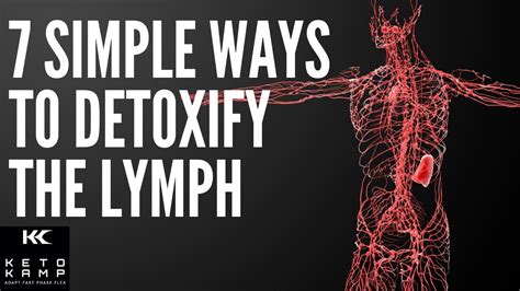 What Is The Lymph System 7 Simple Ways To Cleanse And Detoxify The