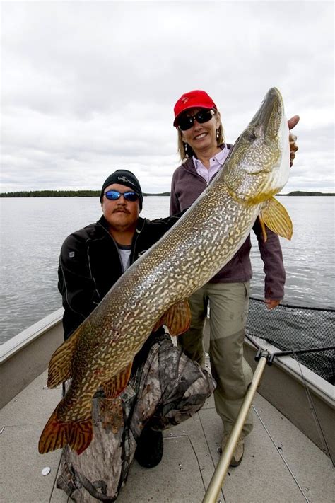 Big Pike At North Haven Resort Manitoba — Ron Spomer Outdoors