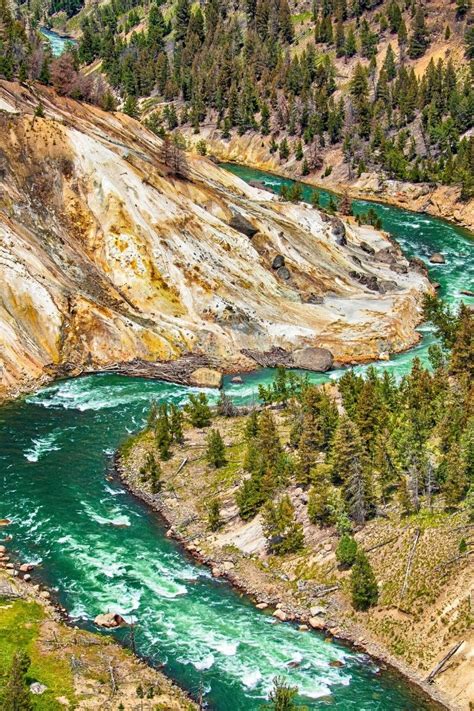 18 Absolutely Best Yellowstone Tours For 2022 National Park Obsessed