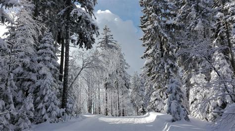 Best winter hikes on Pohorje, Slovenia - Sliva