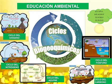 Blog Etec Ciclos Biogeoquímicos
