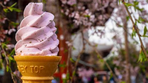 How Toxic Cherry Blossoms Are Turned Into Edible Sakura