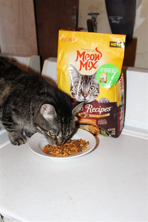 With inferior ingredients at the top of the list as well as the addition of artificial colors and controversial brewer's yeast, we have no choice but to give this cat food a low rating. Give Your Cats the Best with New Meow Mix Bistro Dry Cat ...