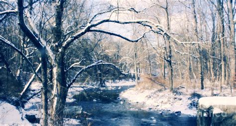 Snow Stream Photograph By Robin Lynne Schwind Fine Art America