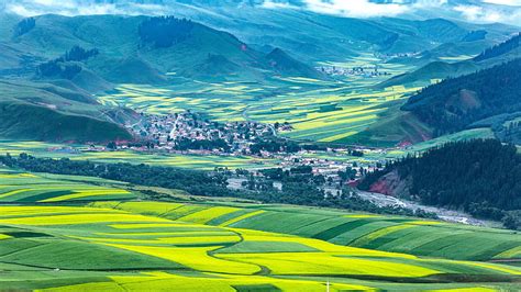 Qinghai Landscape