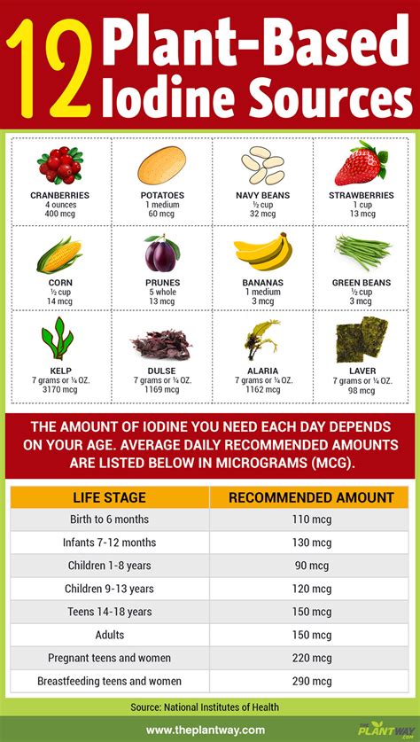 Vegan Sources Of Iodine Infographic