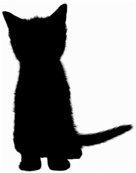 Silhouette Cat Free Stock Photo Public Domain Pictures