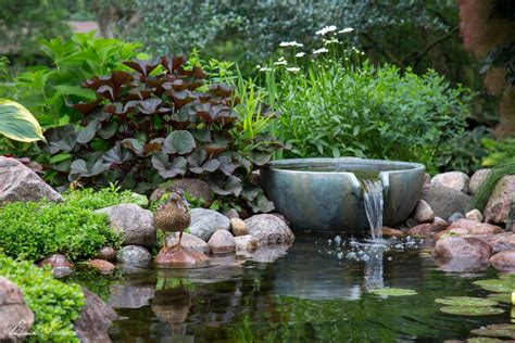 Solar Powered Water Features For The Garden Aquascapes