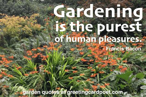 Home Garden Quotes These Garden Quotes Will Provide You Some