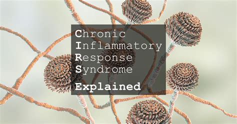 Role of the immune response in interstitial cystitis. Chronic Inflammatory Response Syndrome (CIRS) Explained - Toxic Mould Support Australia