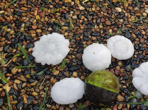 Central Coast Weather Giant Hail Stones Pummel Region Daily Telegraph
