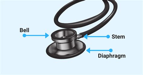 Top 7 Parts Of A Stethoscope Labeled 2023 Explained