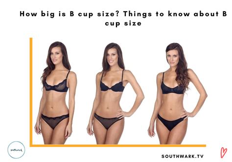 How Big Is B Cup Size Things To Know About B Cup Size Southwarktv
