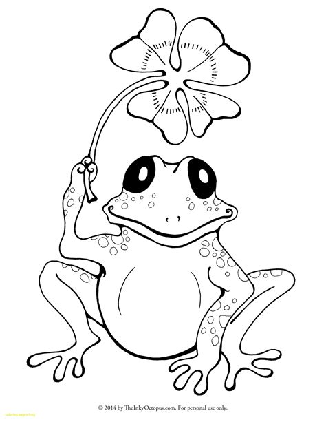 Sweet Frog Coloring Pages At Getdrawings Free Download