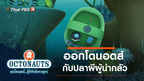 Gang cartoon channel) เป็นช่องการ์ตูน 24 ชั่วโมง. การ์ตูน ออกโตนอตส์...ผู้พิทักษ์มหาสมุทร - ออกโตนอตส์กับปลา ...