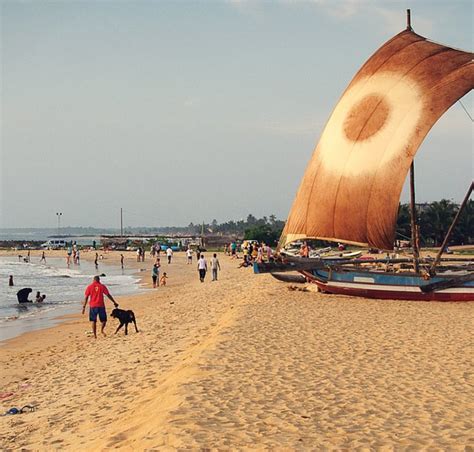 Things To Do In Negombo Places To Visit In Negombo Overa Tours