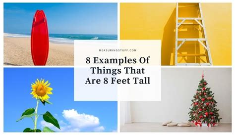 8 Examples Of Things That Are 8 Feet Tall Measuring Stuff