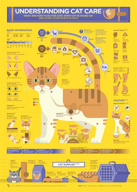 1806 Understanding Cat Care Infographic Poster On Behance Infographic