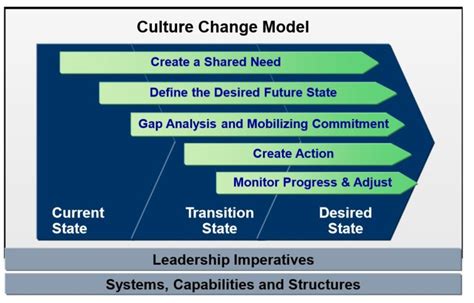 Culture Change Model Lighthouse Nine Group