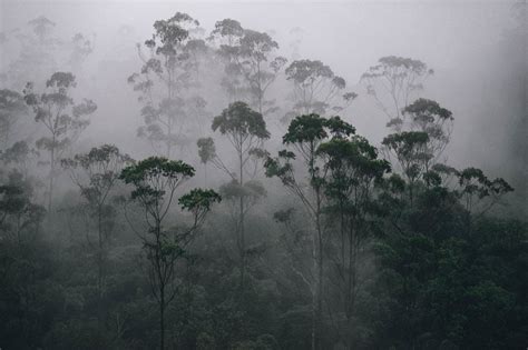 Monsoon season in north america brings rainfall primarily to northern mexico, arizona. When is the monsoon season in India? - Experience Travel ...
