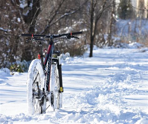 Cycling In Winter What You Need To Know Prim Mart