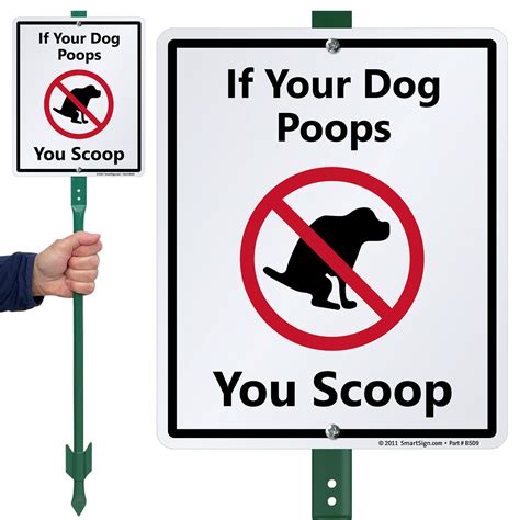 Smartsign If Your Dog Poops You Scoop Sign And Stake Kit Wayfair