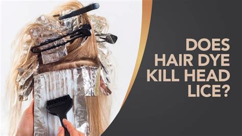 Focus on the same areas that you put the vinegar solution on. Does Hair Dye Kill Head Lice? - Hair Day