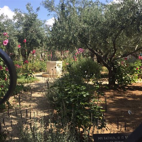 Garden Of Gethsemane Jerusalem 2018 All You Need To Know Before You