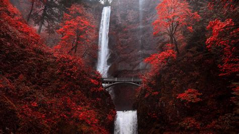 Multnomah Falls Waterfall Bridge In Autumn Red Portland Wallpapers