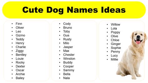 Top 50 Pet Cute Name Ideas For Your New Furry Friend
