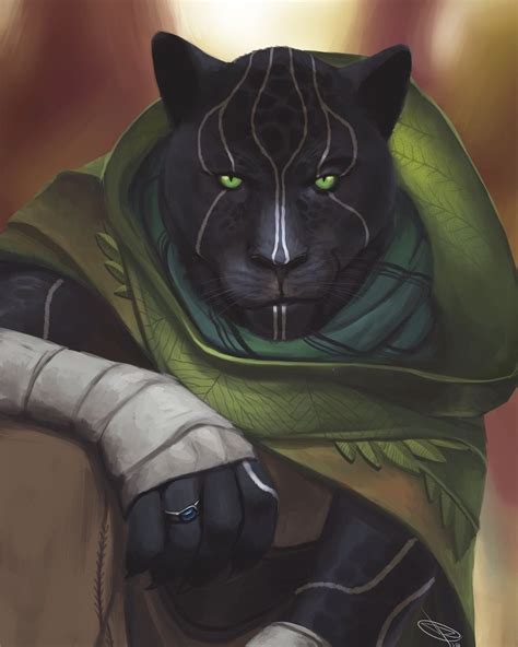 Tabaxi Monk Fantasy Character Design Character Art Dnd Characters