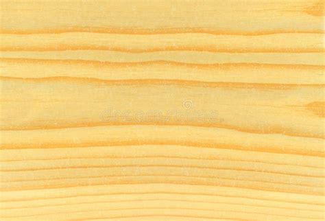 303930 Pine Wood Texture Stock Photos Free And Royalty Free Stock