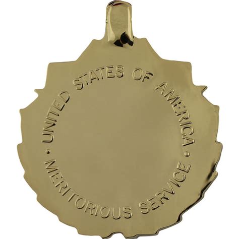 Meritorious Service Anodized Medal Usamm