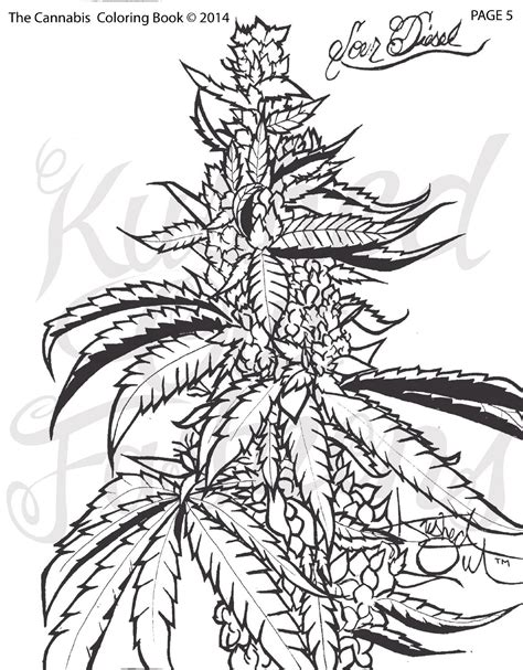 The Cannabis Coloring Book Vol Issue By Kushinformer Magazine