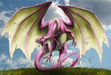 Pink Dragon By Isismasshiro On Deviantart