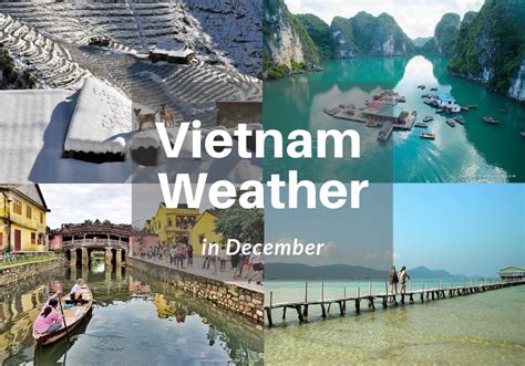 Weather In Vietnam In October 2024 Fawn Orelee
