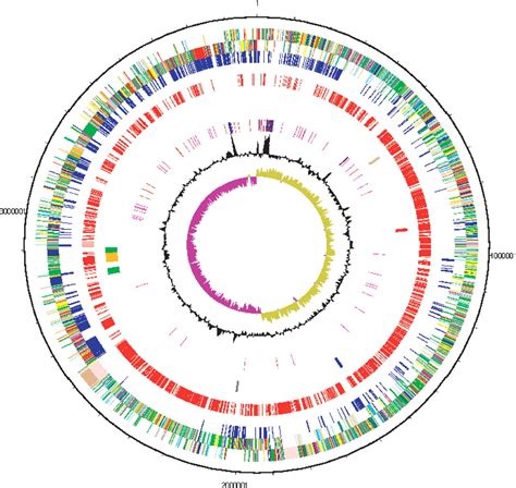 Genome Sequence Of A Proteolytic Group I Clostridium Botulinum Strain