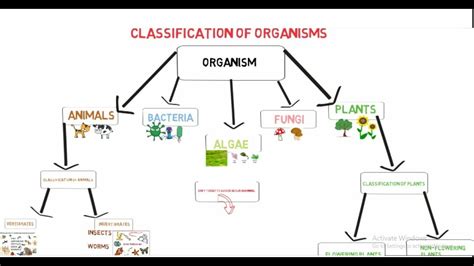 Classification Of Organisms On Earth Living Organisms For Kids Youtube